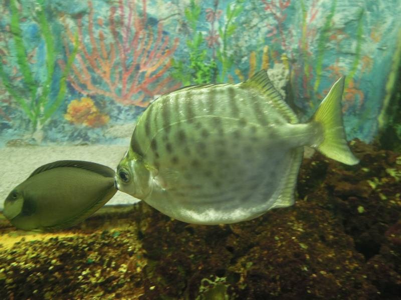 DSCN9933.JPG