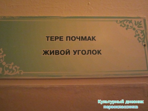 IMG_2856.JPG