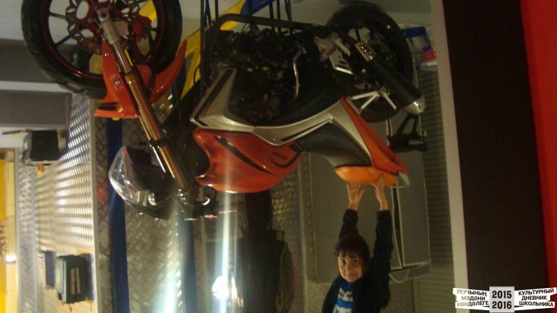 Дом вверх дном39373