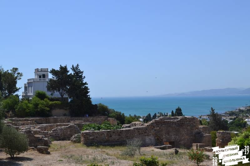 DSC_0101.JPG
