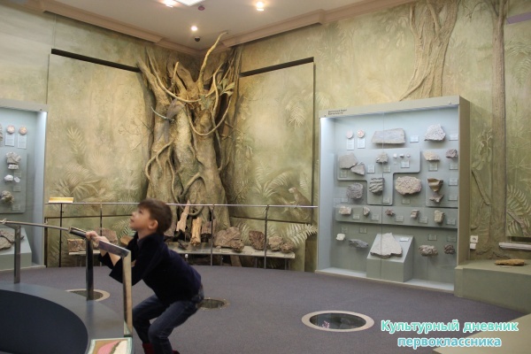 музей естественной истории Татарстана24748