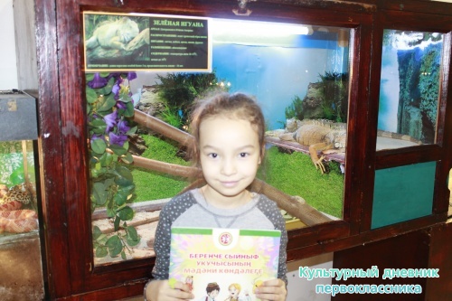 Мадагаскар выставка18096