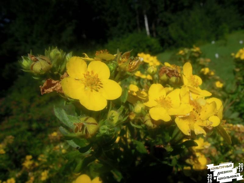 DSCN1646.JPG