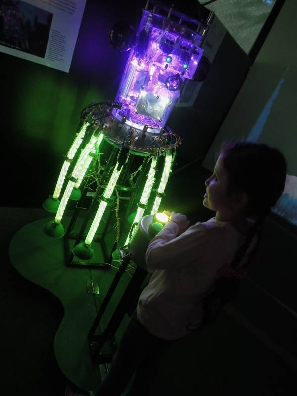 DSCN8337.JPG