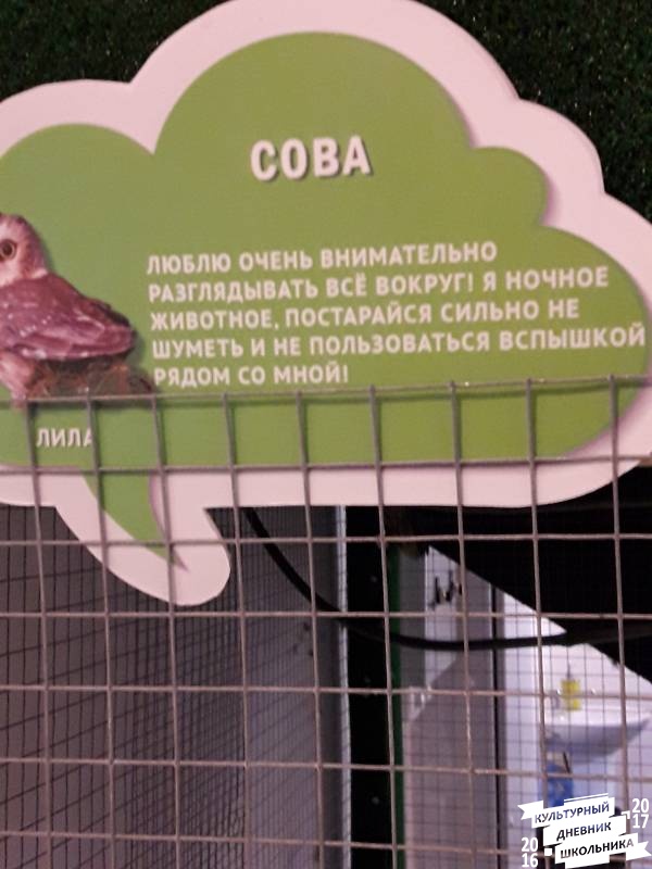 Контактный зоопарк. Казань.75633