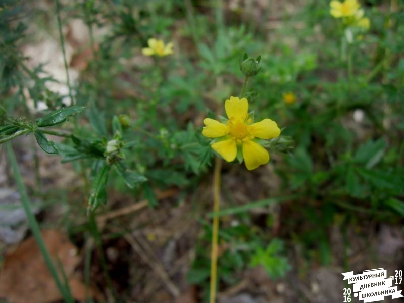 DSCN0586.JPG