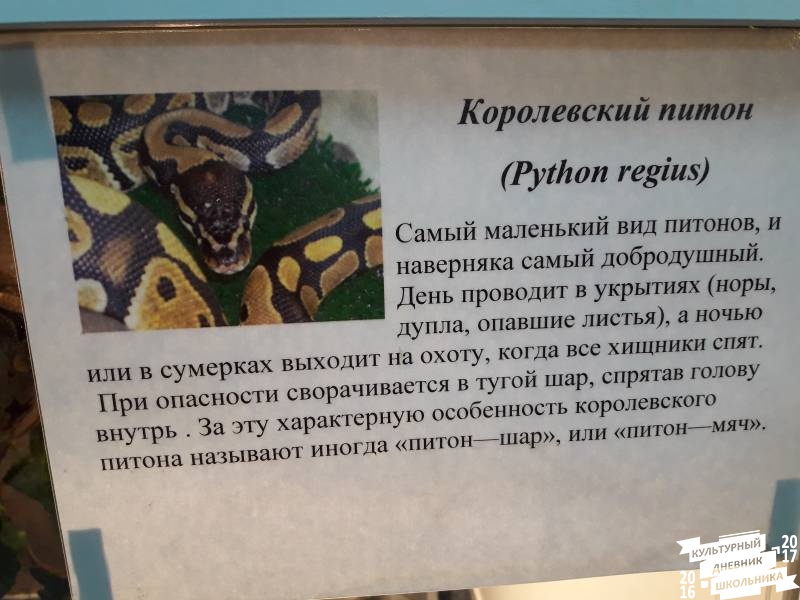 Выставка зоопарк "Живые тропики"60566