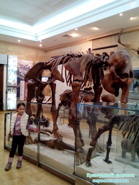 Музей естейственной истории Татарстана