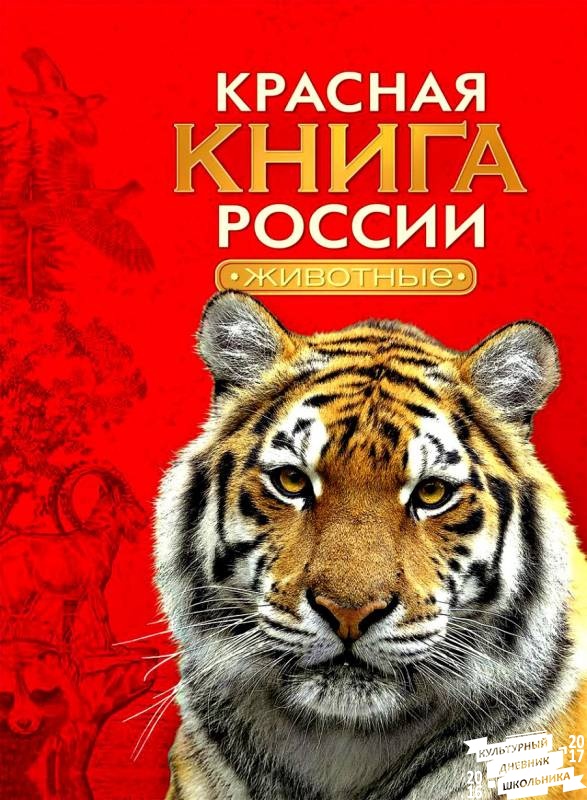 Сокол-балобан. Зооботанический сад. Казань.78394