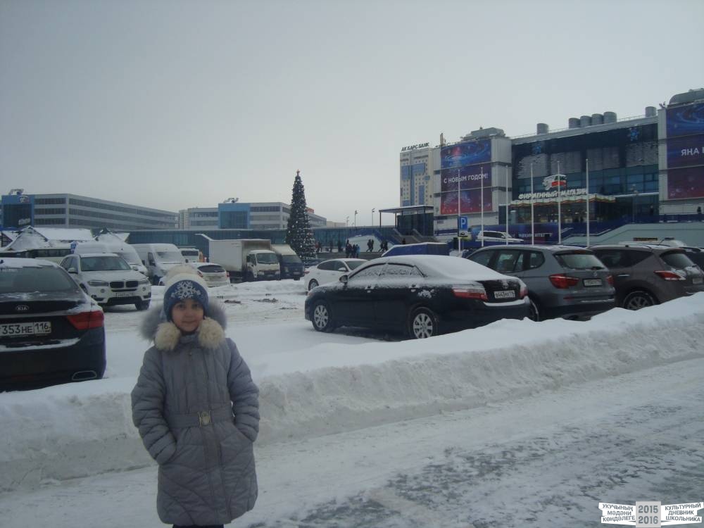 Президентская ёлочка.53159