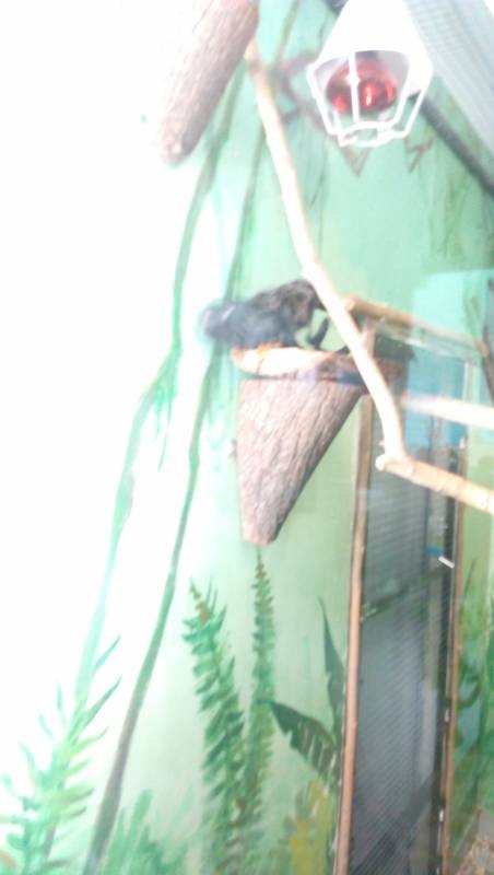 IMG_20160828_083836