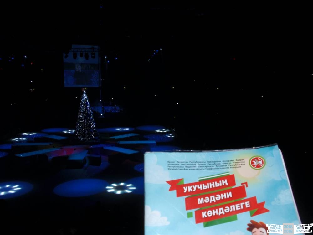 Я на Президентской елке 25.12.2016 г.52423