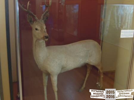 DSCN6840.JPG