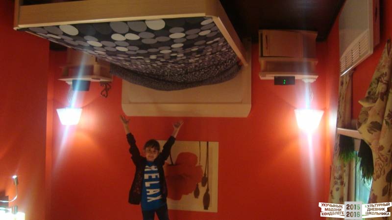 Дом вверх дном39374