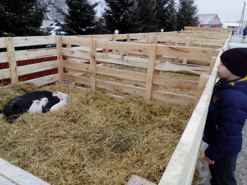 В добрый край, к добрым людям...110898
