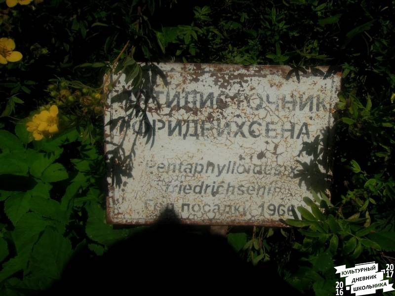 DSCN1644.JPG