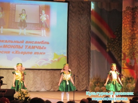 Пестречинская звездочка24363