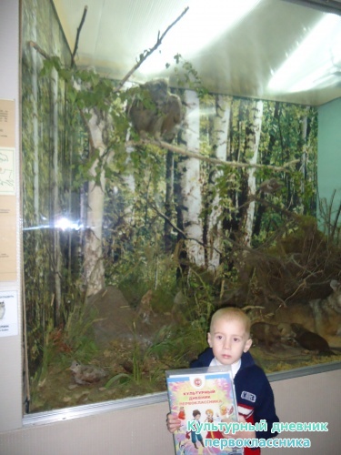 Ульяновский краеведческий музей имени И.А.Гончарова11748