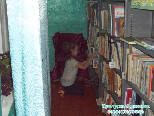 я и мой культурный дневник4589