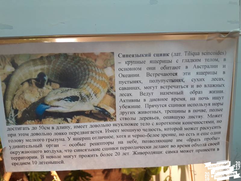 Выставка зоопарк "Живые тропики"60601