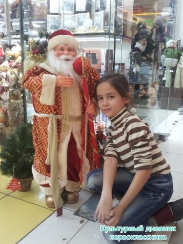 Новогодний Парк Хаус12308
