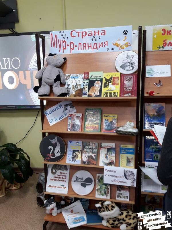 Библионочь-2017. Межпоселенческая центральная библиотека. Бугульма.64711