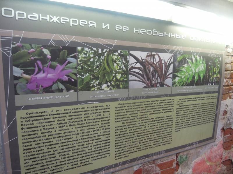 DSCN4798.JPG