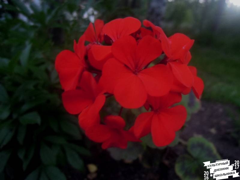 DSCN0202.JPG