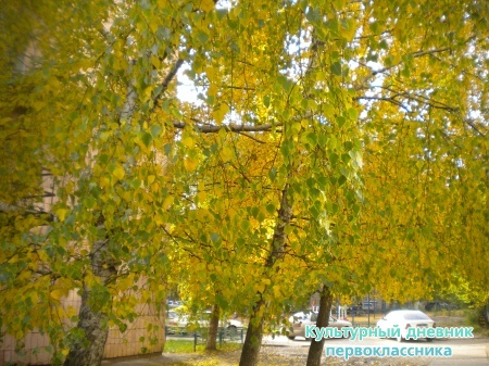 DSCN1677.JPG