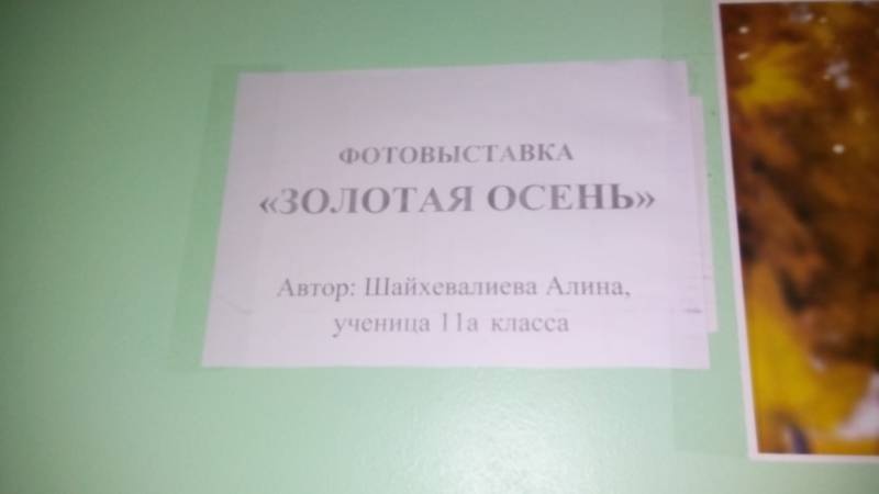 Фотовыставка "Золотая осень". МБОУ СОШ №20. 28.11.17.109833