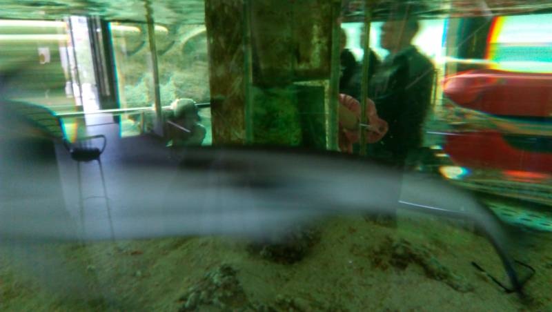 IMG_20160828_083424