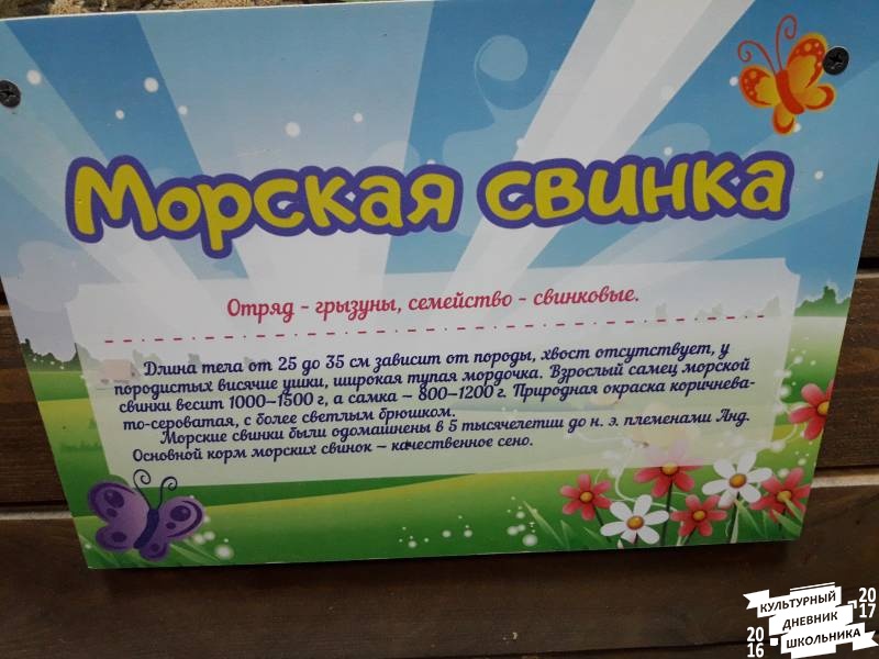 КК№46.Парк тропических бабочек.62378