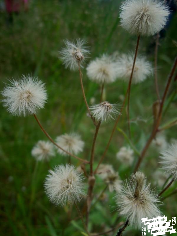 DSCN0625.JPG