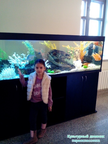 Музей естейственной истории Татарстана