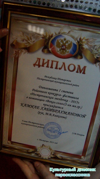 Пестречинская звездочка24145