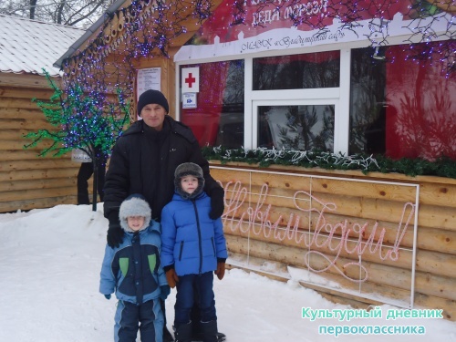 Новый год в Ульяновске19304
