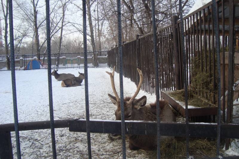 Мои мероприятия!!112722