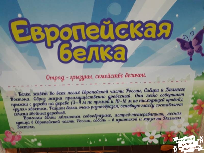 КК№46.Парк тропических бабочек.62390