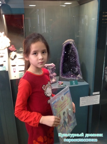 Музей естественной истории16821