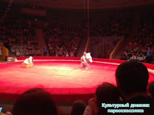 В цирке!15400