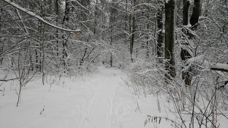 IMG_20171207_131344