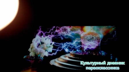подснежники в положенном месте