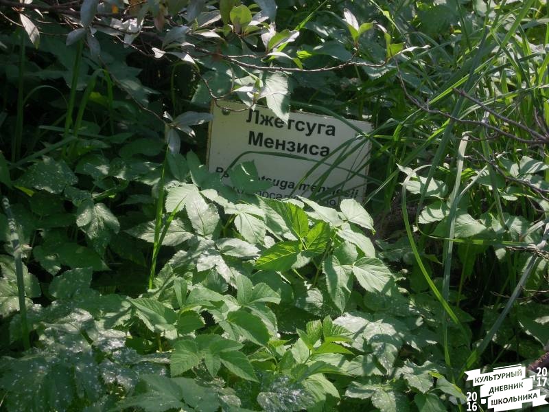 DSCN1586.JPG