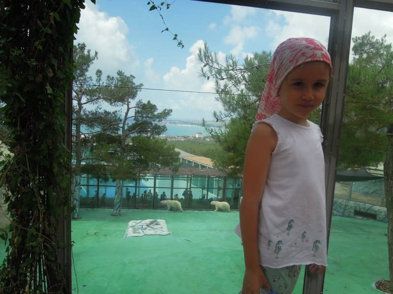DSCN0247.JPG