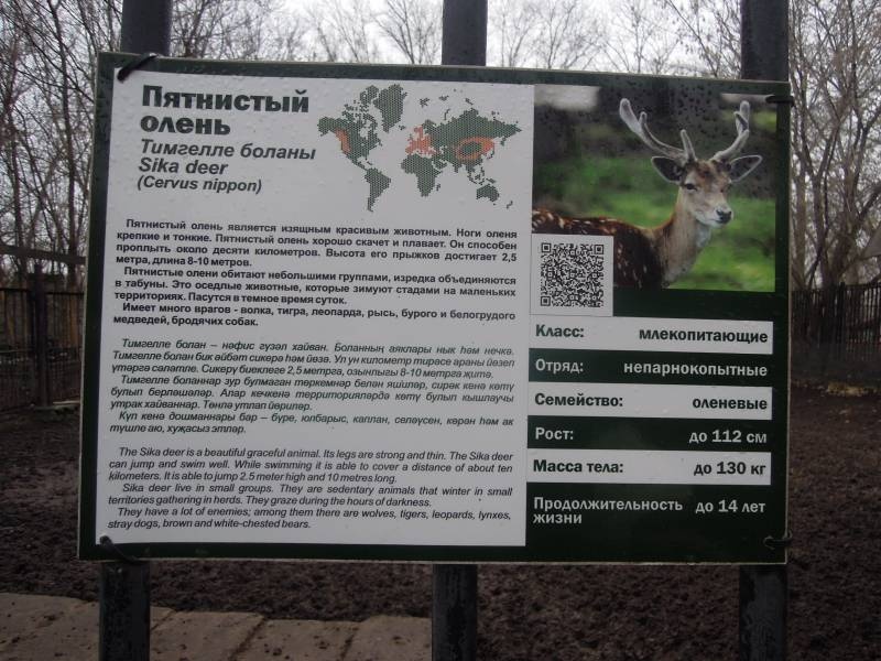 DSCN4899.JPG