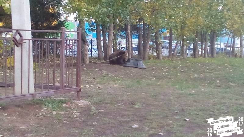 Передвижной зоопарк.79686