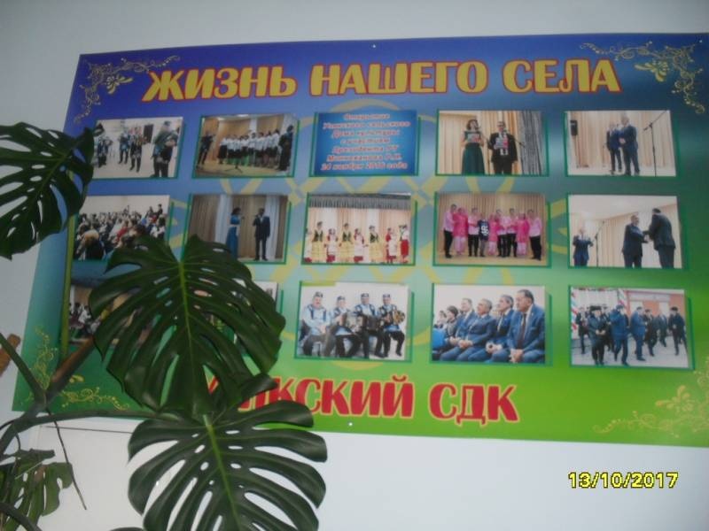 мои каникулы87217