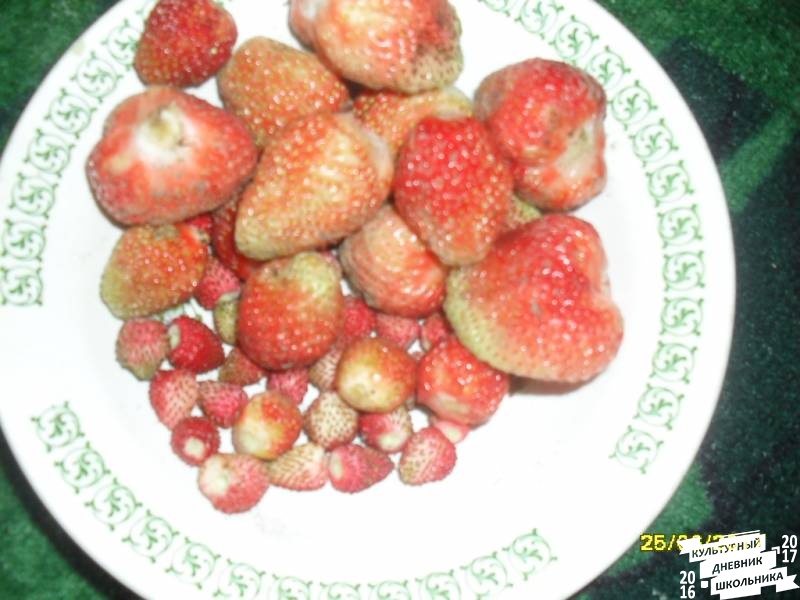 я и моя культурная команда собирает урожай76862