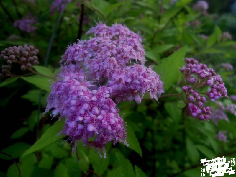 DSCN0351.JPG