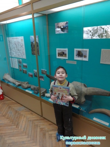 В Краеведческом музее г.Альметьевска17277